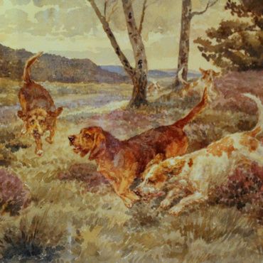 Rastreando - Paul Tavernier