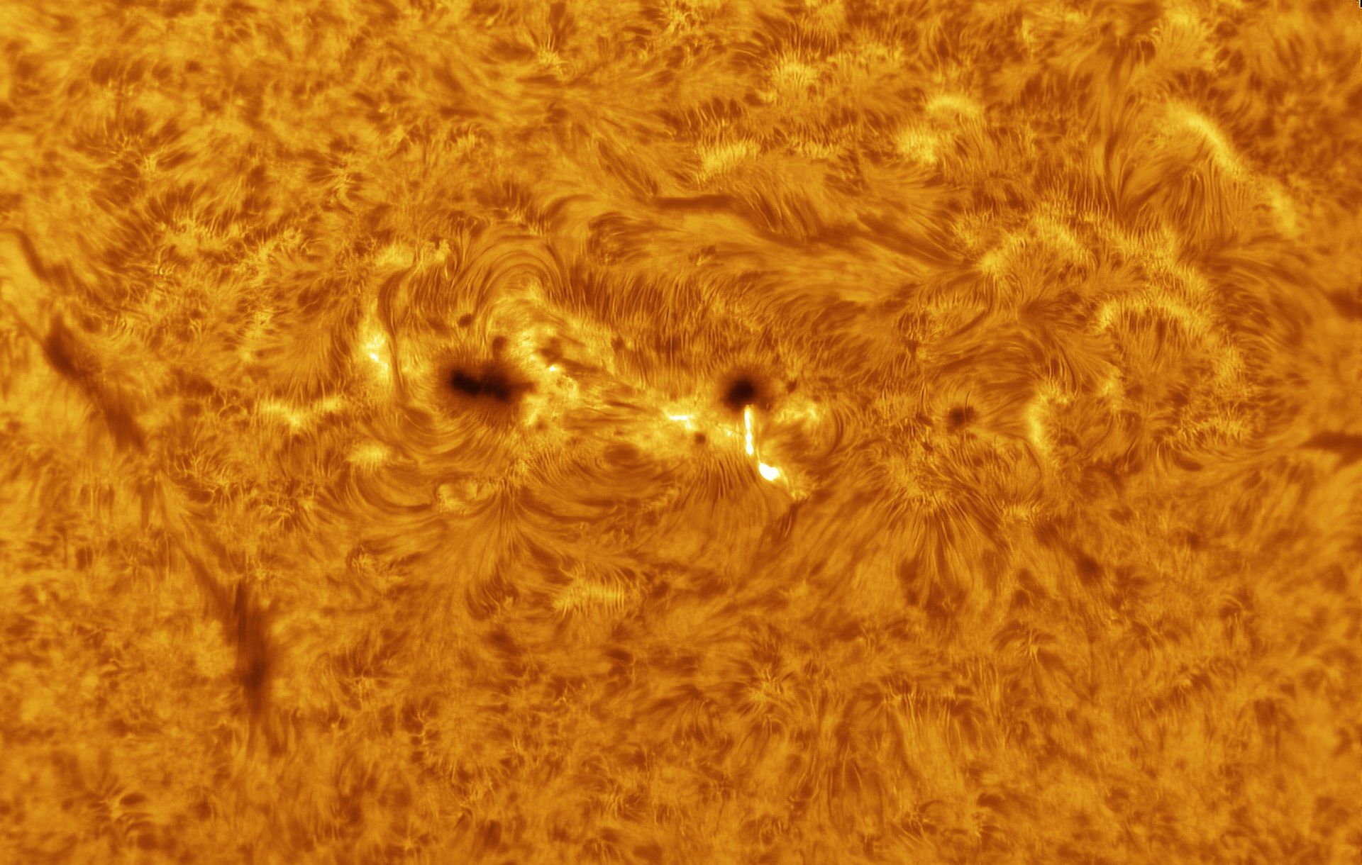 El Sol observado con filtros especiales para ver el espectro de luz H-alpha
Se pueden observar las llamadas manchas solares, que son zonas de temperatura más bajas, pero con intensa actividad magnética.