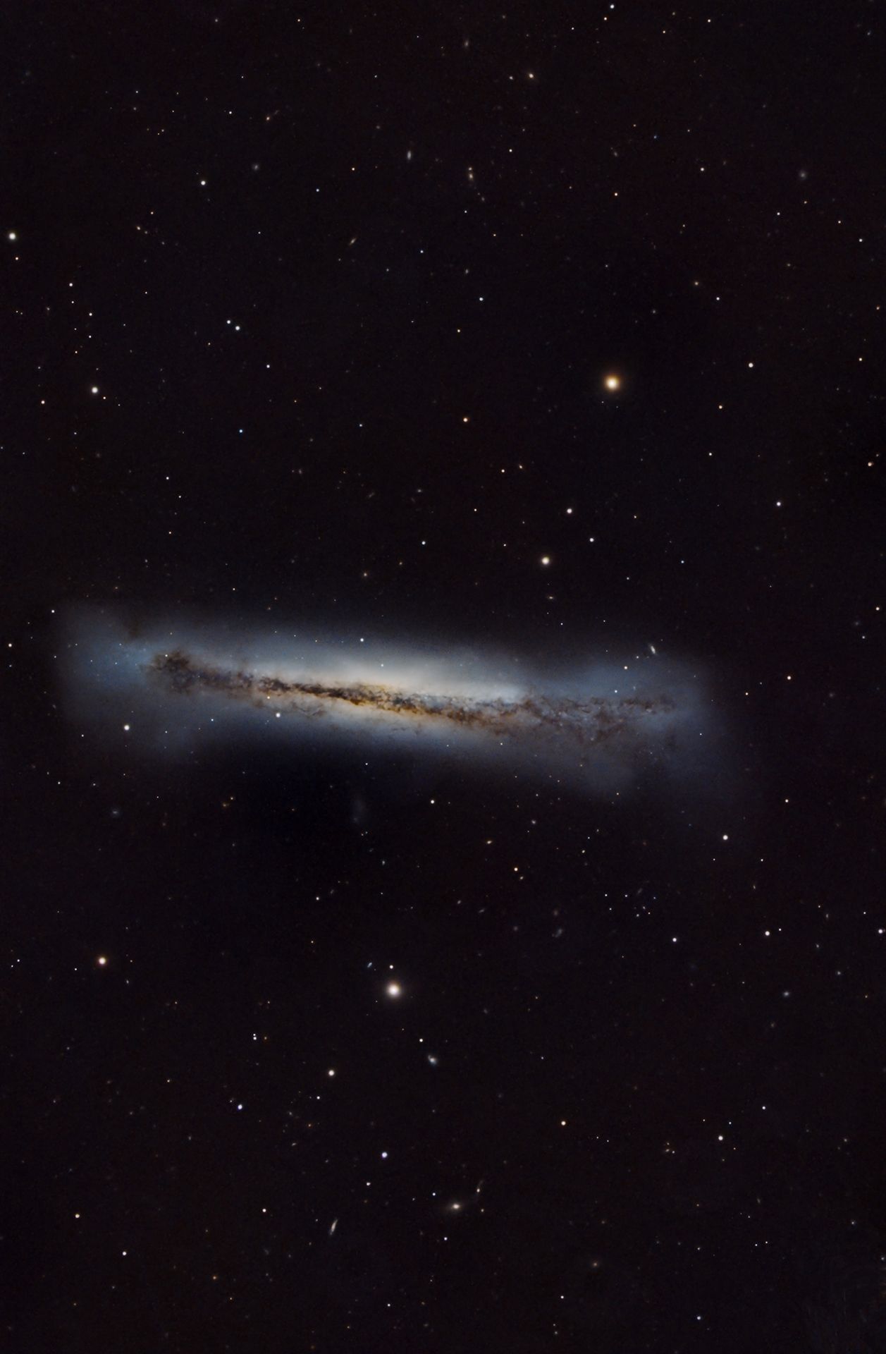 La llamada galaxia “Hamburguesa” recibe su nombre por su forma, que recuerda una hamburguesa entre dos panes. Es una galaxia espiral ubicada a unos 35 millones de años luz, en dirección a la constelación de Leo. Junto con las galaxias messier 65 (M65) y Messier (M66) forma parte del famoso Triplete de Leo.