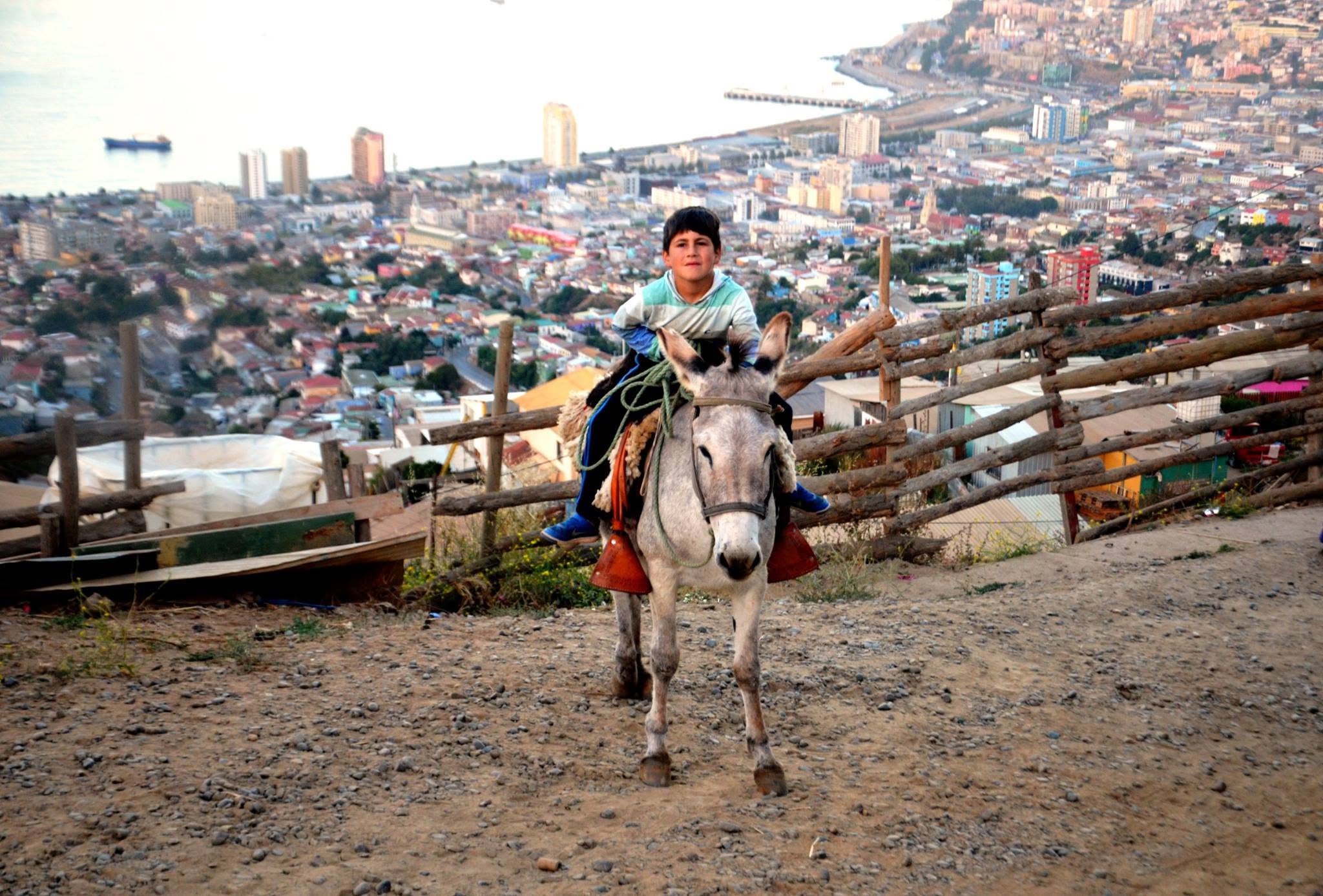 MENCIÓN HONROSA: Alejandra Montoya / Porteño en la cima