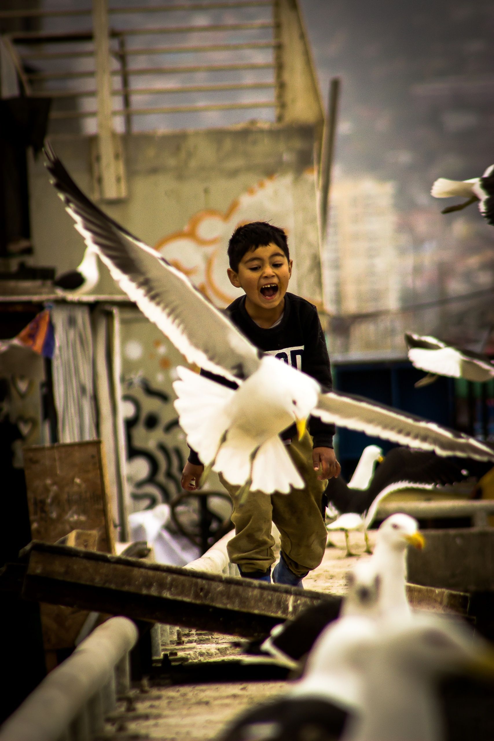 MENCIÓN HONROSA: Oscar Peñaloza / Niño de caleta